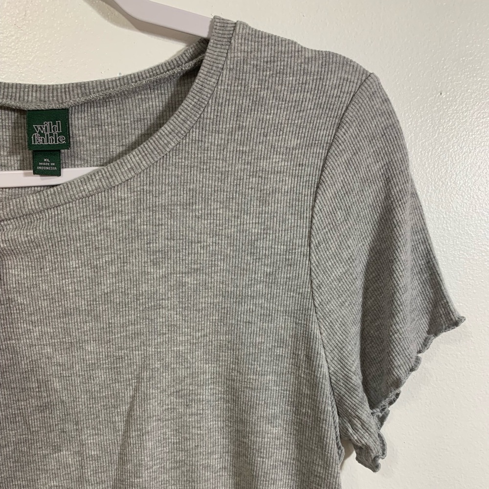 Wild Fable Target ripped gray crop top